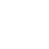 Troublemaker