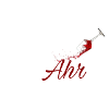 Solidahrität white