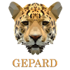 Cheetah With 3D font