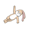 Rabbit during yoga stretching exercises