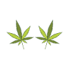 hemp