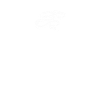 Python Snake