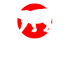 Big Cat Mountain Lion