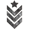 us army