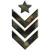 us army