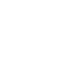 Bicycle Skull