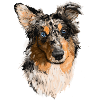 Hachiko1