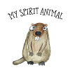 My Spirit Animal Marmot