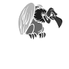 Weiss der Geier