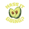 avocado