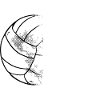 Le volley-ball pour les volleyballeurs