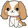 Cavalier King Charles Spaniel
