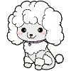 Poodle