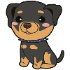 Rottweiler