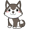 Siberian Husky