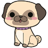 Pug
