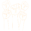 Together Stronger