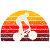 retro bmx
