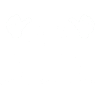 olli