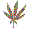 Hemp leaf psychedelic 2