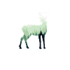 Schwarzwaldbub Hirsch Schwarzwald
