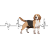 Beagle Heartbeat