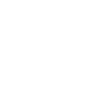 Zikade