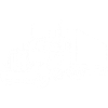 White American truck