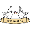 Just Married Wedding