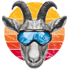 Funny goat with ski goggles