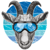 Funny goat with ski goggles