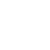 Never Broke Again