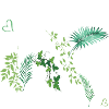 Plants stole my heart