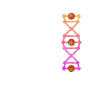 Basketball DNA