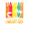 hawaii hawaiian