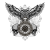 Owl With Clock Skull Time Steampunk Illustration