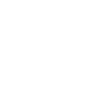 Ski