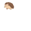 Igel