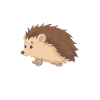 Hedgehog