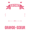 Secret Cadeau Annonce Grossesse Grande-Sœur