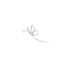Butterfly Pattern