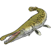 Aligator Gar Alligator Gädda
