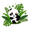 panda