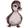 Baby Duck Sketch Cute Animal Ælling Ælling