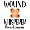 Nurse Wound Care Wound Treatment