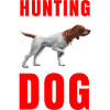 Cane da caccia - Cane da caccia fermo