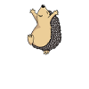 Hedgehog