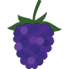 Blackberry