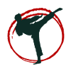 Martial Arts Kick