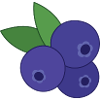 Blueberry Blueberry